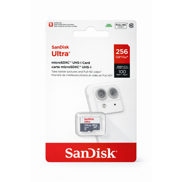256 GB (100MB/s)